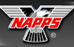 national association of professional process servers